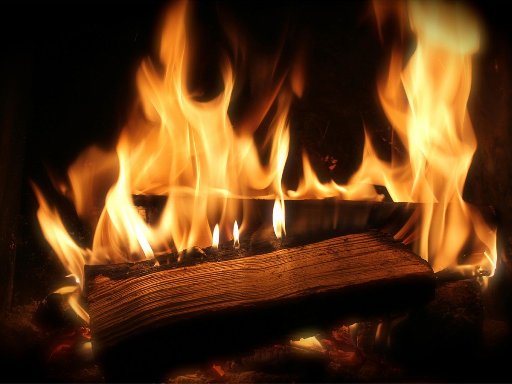 logs burning in a fireplace